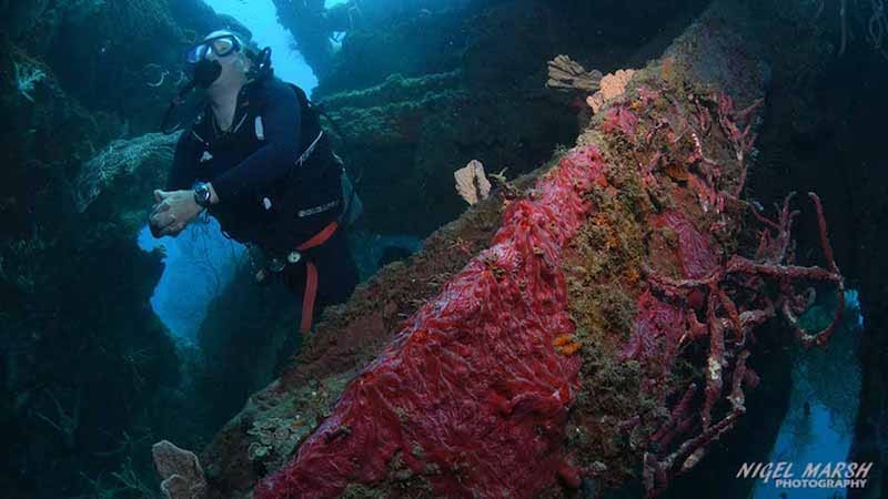 Wreck at Honiara