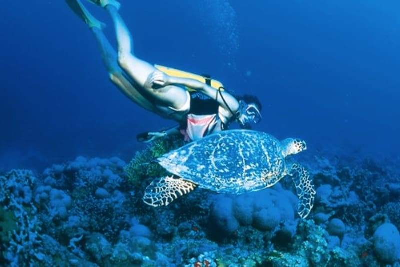 Seychelles ©PONANT Tally & Lionel Pozzoli