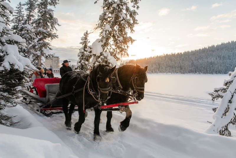 horse and sleigh Xmas Lake Louise Destination Canada