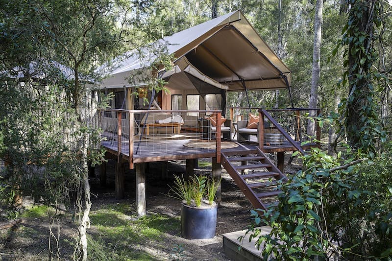 Paperbark Camp - 2020 - 4 copy